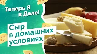 Рецепт денег на сыре. Теперь Я в Деле!