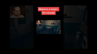 Мармок в видео Куплинова