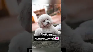 Пой эту песню если ты..❤️ #shorts #tiktok #aesthitik #рекомендации #тренды #2023