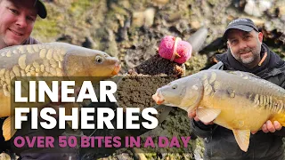 VLOG4 – LINEAR FISHERIES FLOAT LAKE - 50 BITES IN A DAY