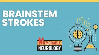 Brainstem Stroke Mnemonics (Memorable Neurology Lecture 15)