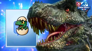 WIN an ADORABLE BABY EMOTE!  Mini Mortem Boss Returns - Entire Playthrough ~ Jurassic World Alive