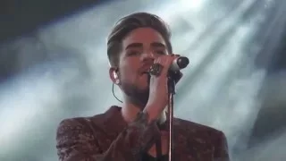 2016.1.5 Adam Lambert The Original High Tour Shanghai - Whataya Want From Me