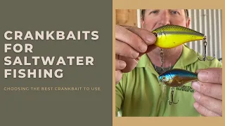 Crankbaits for Saltwater Fishing: Which to use & Best Rod N Reel Combos