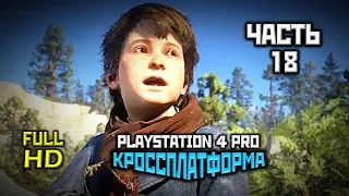 Red Dead Redemption 2, Прохождение Без Комментариев - Часть 18 [PS4 PRO | 1080p]