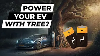 Tree-Powered Battery: Revolutionizing Energy Storage