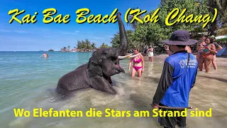 2024 - Kai Bae Beach auf Koh Chang (Thailand) - wo Elefanten die Stars am Strand sind