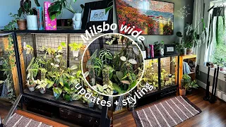 all of the plants in my ikea greenhouse cabinet + how I've styled it (milsbo wide edition)