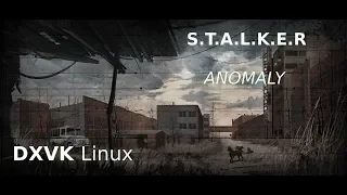 S.T.A.L.K.E.R Anomaly: Linux, Wine, DXVK, PlayonLinux