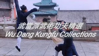 武当派武术功夫精选 Wu Dang Kungfu Collections