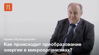 Биоэнергетические механизмы и их эволюция — Армен Мулкиджанян