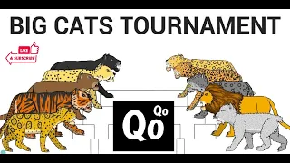 The Big Cats Tournament Animation Metaverse Kiddo | Lion vs Tiger Tournament Competition #kids