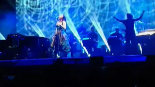 Evanescence Synthesis Paris 28/03/18 Bring me to life