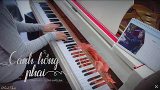 🎹 Manh Piano - CÁNH HỒNG PHAI (Dương Khắc Linh)