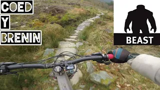 Coed-y-Brenin MTB | The Beast