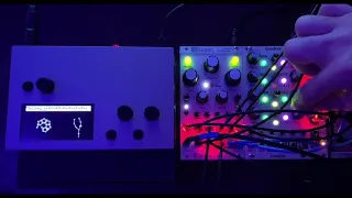 First two experiments with the mutable instruments beads module