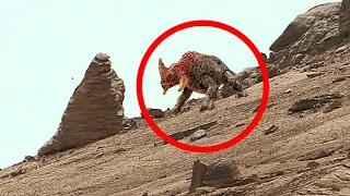 Mars Life Unbelievable Shocking 4k Images Capture by NASA's Mars Rover : Curiosity Perseverance