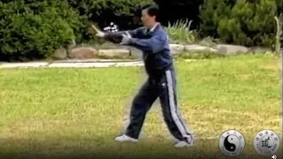 Founder Moy Lin Shin Demonstrates Taoist Tai Chi® arts