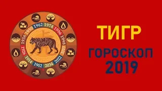 Тигр в год Свиньи. Восточный гороскоп на 2019 год