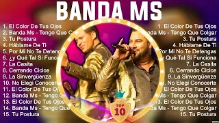 B A N D A M S 2024 ~ 10 Maiores Sucessos ~ Grandes Exitos