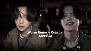 ~Norm Ender - Kaktüs speed up