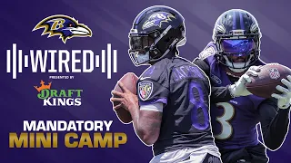 Wired: Inside Ravens Minicamp | Baltimore Ravens