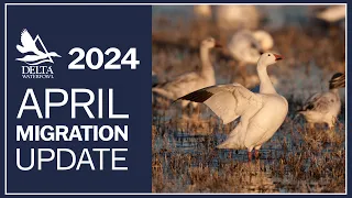 April Migration Update 2024