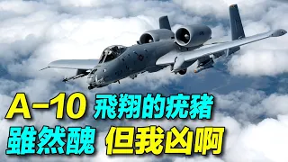 A-10攻擊機，再戰10年！美國計畫退役42架A-10攻擊機；海灣戰爭A-10摧毀了900多輛伊拉克坦克、2000餘輛軍用車輛。 | #探索時分