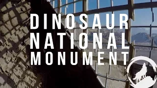 DINOSAUR NATIONAL MONUMENT: TOUCH REAL Dinosaur Bones, A Land Shaped by Water | Adventure Hydrology
