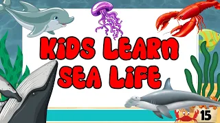 KIDS LEARN | Sea Animals | English Vocabulary