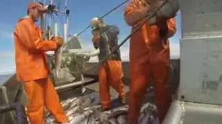 Bristol Bay, Alaska: The Life Of A Deckhand