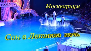 Москвариум ШОУ-Мюзикл "Сон в летнюю ночь".