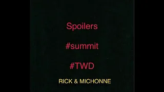More Spoilers From The Walking Dead Summit #thewalkingdead #rickgrimes #michonne