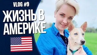 Жизнь в Америке | Влог #9 о жизни в Лос Анджелесе