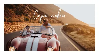 Shelby Cobra Cape town, Cape Cobra