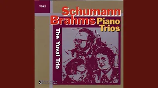 Piano Trio No. 1 in B Major, op. 8: Scherzo. Allegro molto - meno allegro