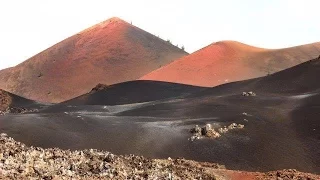 Ascension Island - wildlife and heritage