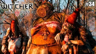 Ведьмак 3: Дикая Охота ( The Witcher 3: Wild Hunt) прохождение (34 серия) (1080р)