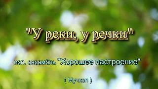 "У реки, у речки", исп. анс.  Хорошее настроение" ( Мучкап )