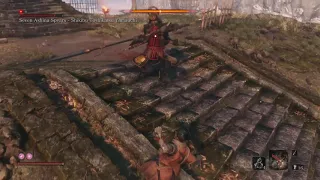 [Sekiro] Praise Mikiri