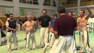 HIROO MOCHIZUKI YOSEIKAN BUDO STAGE BILBAO 2011