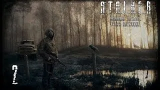 S.T.A.L.K.E.R. Упавшая Звезда. Честь Наемника #2 - Странная Штуковина