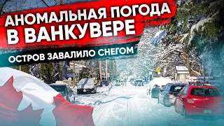 Аномальная погода в Ванкувере. Остров завалило снегом. Рекордные морозы | Погода в Канаде