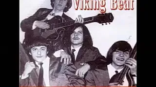 Various ‎– Viking Beat : Obscure Beatfossils From Danish Sixties 1963-1968 Garage R&B Music Bands LP