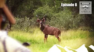 Fieldsports Africa - Hunting Kudu