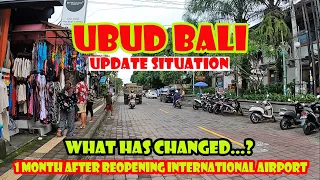 Ubud Bali Condition Now | Driving Around in Ubud | Bali Update Situation