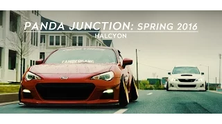 Panda Junction: Spring 2016 | HALCYON