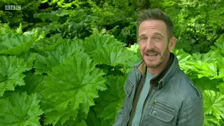 Gardeners' World 2019 E19