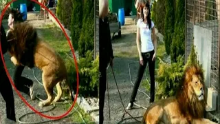 Animal Encounters That Will Freak You | Nature Of A Beast Can Not Be Changed | Versatile dani