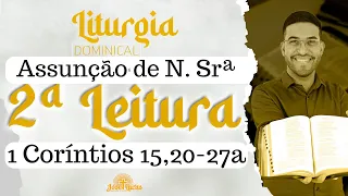 Segunda Leitura | 1 Coríntios 15,20-27a | Assunção de N. Senhora | 20/08/2023 | Liturgia Diária